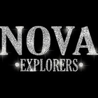 GLT21 SILVER GLITTER Thumbnail