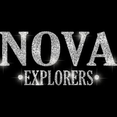 GLT21 SILVER GLITTER Thumbnail