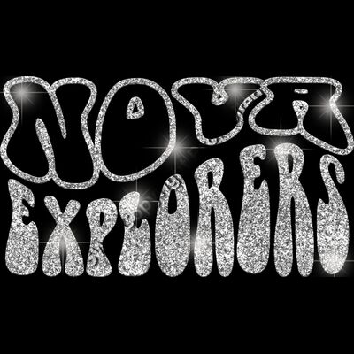 GLT98 SILVER GLITTER Thumbnail